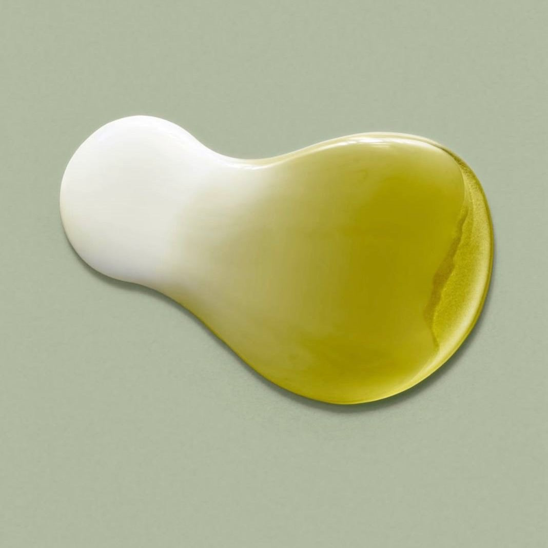 Jeju Matcha Tea Essence